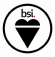 The British Standards Institution (BSI)